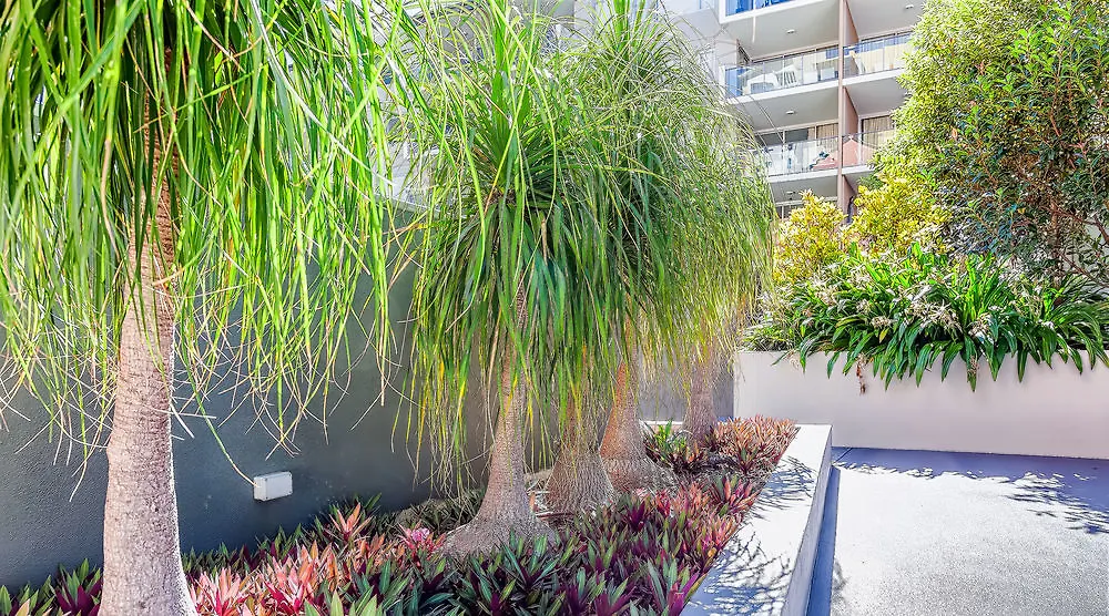 Trilogy Residences Brisbane 4*,  Australia